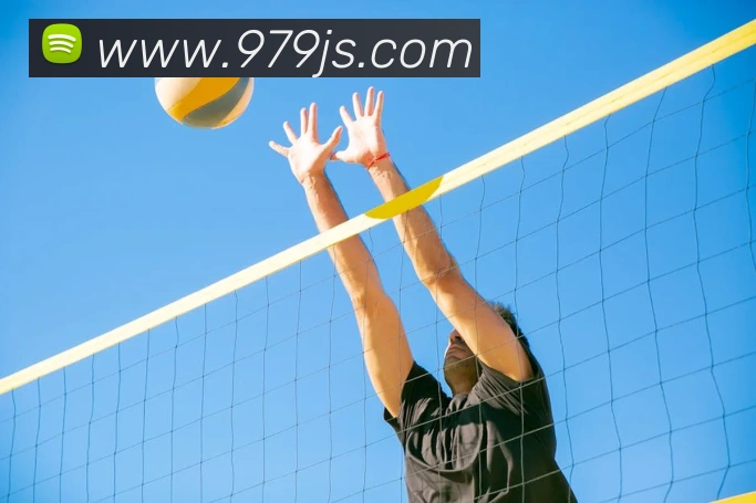 金沙娱乐官方网站发展历程